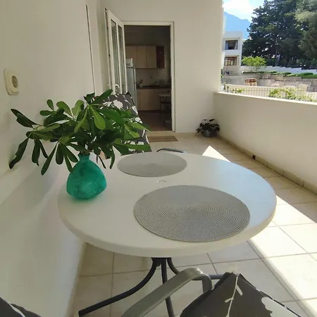 Palma *