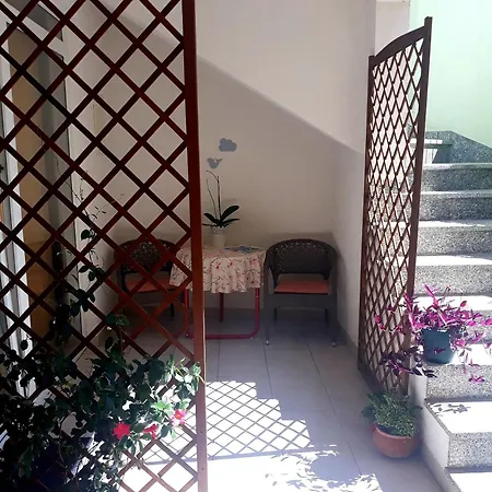 Palma *